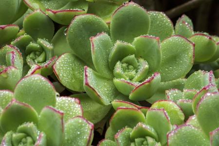 ½Î÷3ËêÃÈÍÞ´ò110ÇóÖú ³¬¿É°®¶Ô»°ÆØ¹â