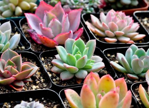 հ죺ˮϵȫͨ ˳ǡø˾