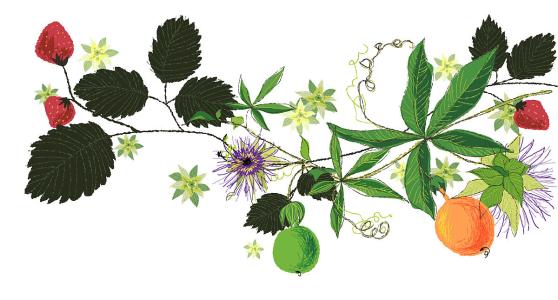 ƺӷⶳٶȼӿ쳤ȴﵽ631.3 ǧ׷