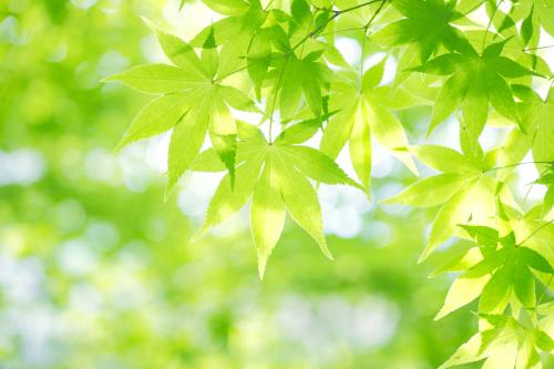 ǰ11¹ҵҵʵ57445Ԫ ͬ2.4%